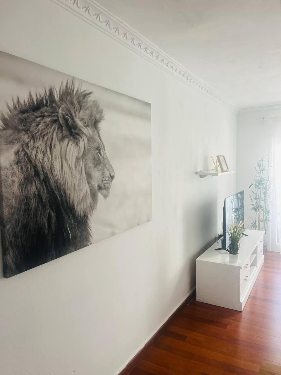 Apartment Near The Ocean أرونا المظهر الخارجي الصورة